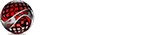 CIW Web Logo